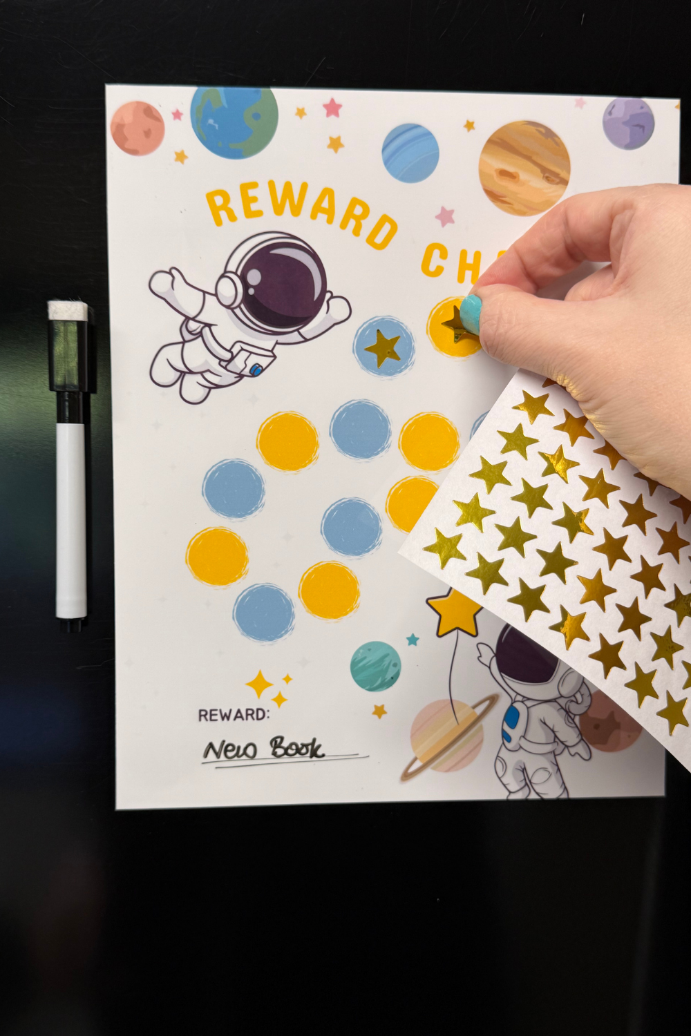 Magnetic Sticker Charts