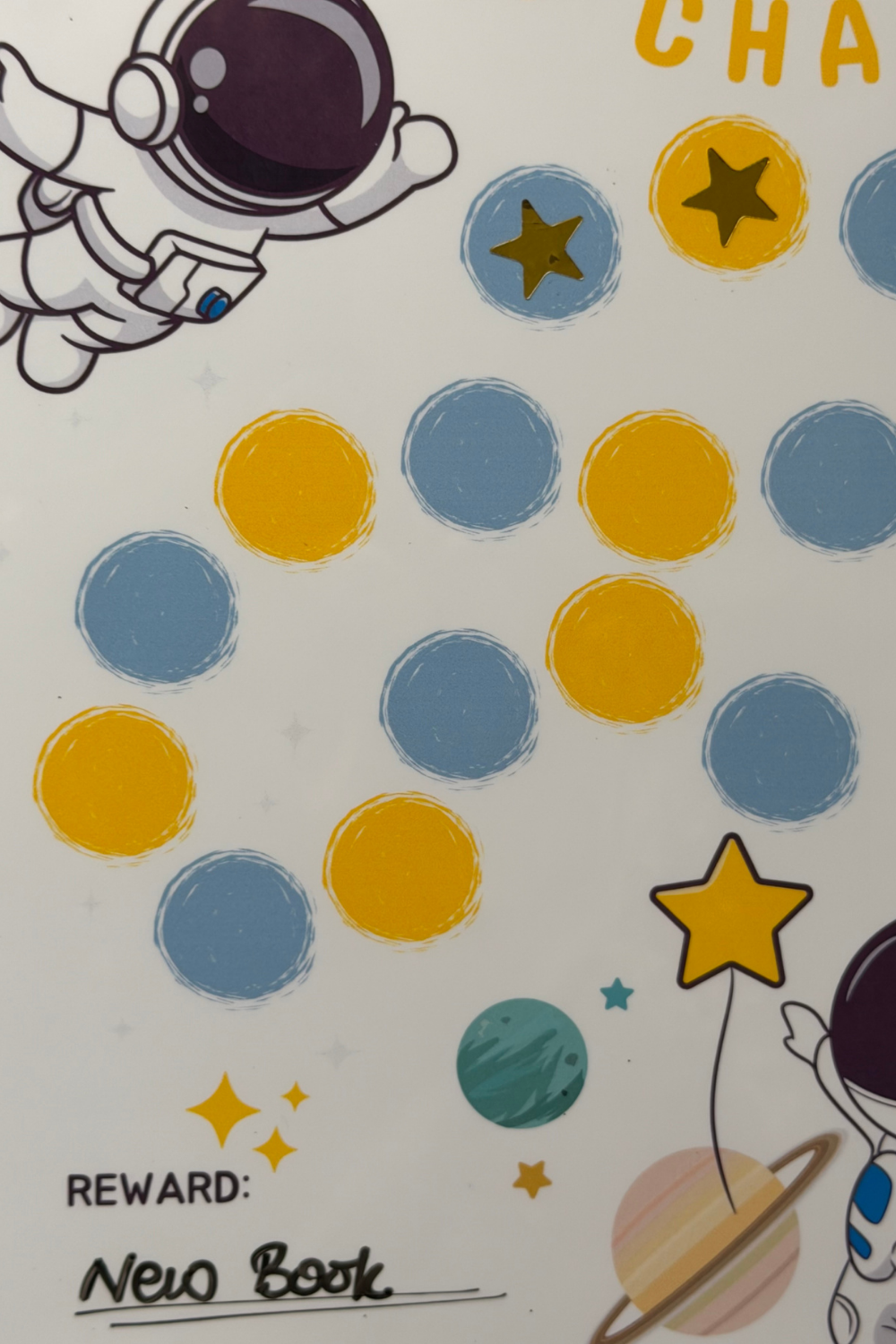 Magnetic Sticker Charts