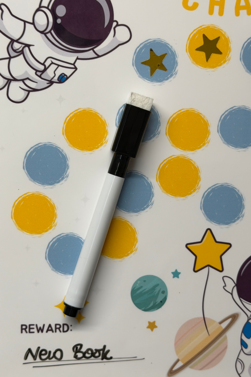 Magnetic Sticker Charts