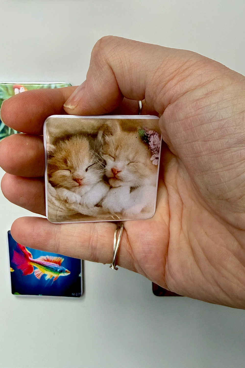 Personalised Photo Fridge Magnets (3D)