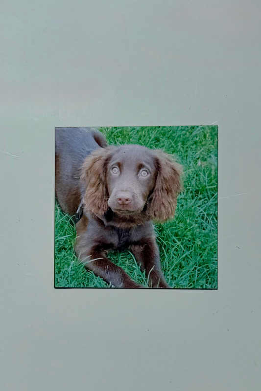 Personalised Photo Fridge Magnets (2D) - Best Value- Pack of 10
